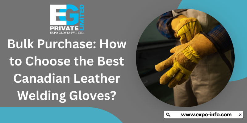 Bulk Purchase: How to Choose the Best Canadian Leather Welding Gloves?